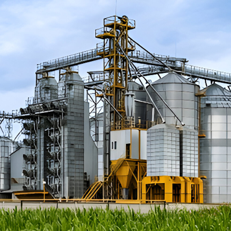 Fertilizer Plants
